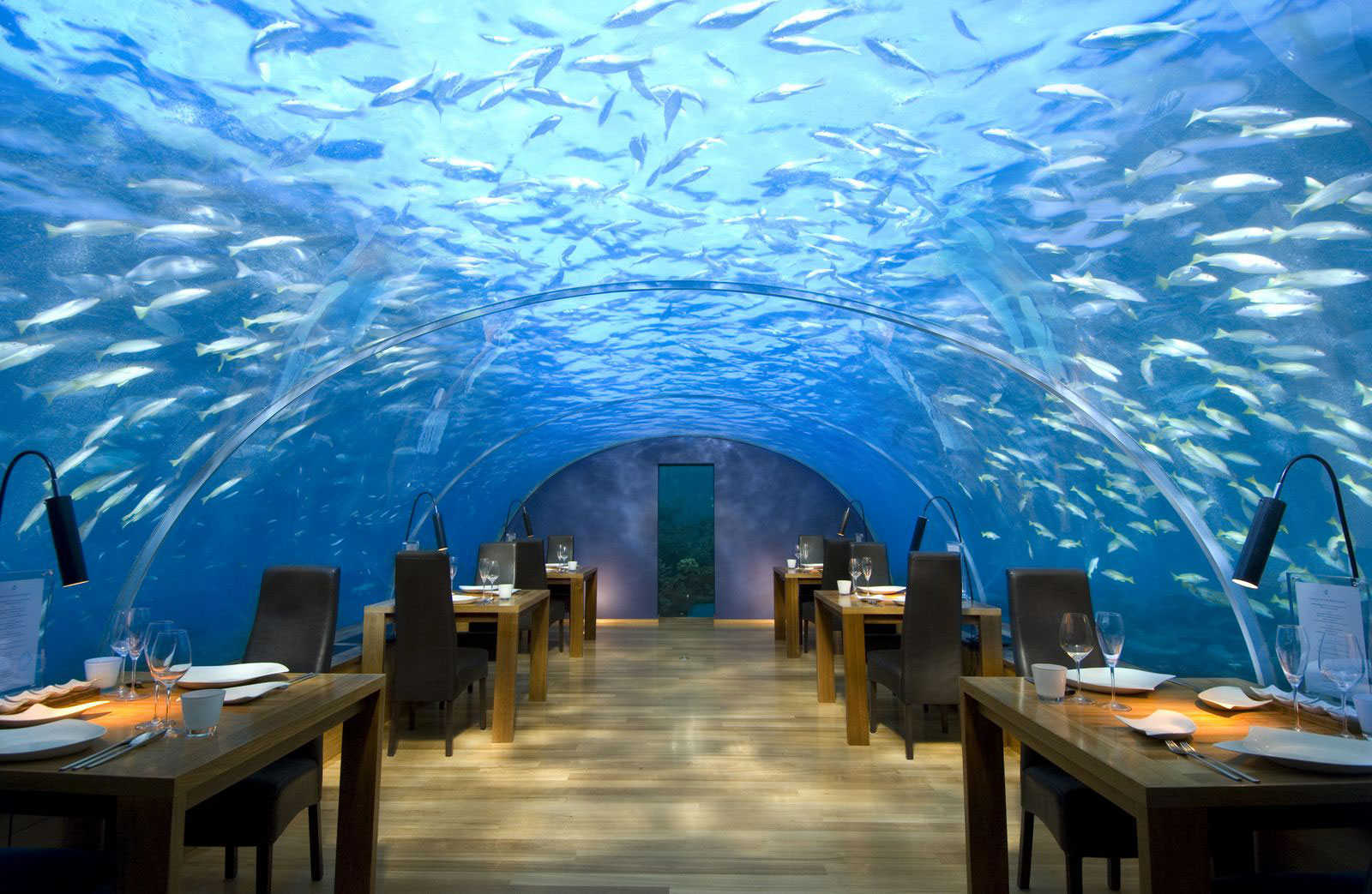 Conrad-Maldives-Rangali-Island-Ithaa-Undersea-Restaurant1