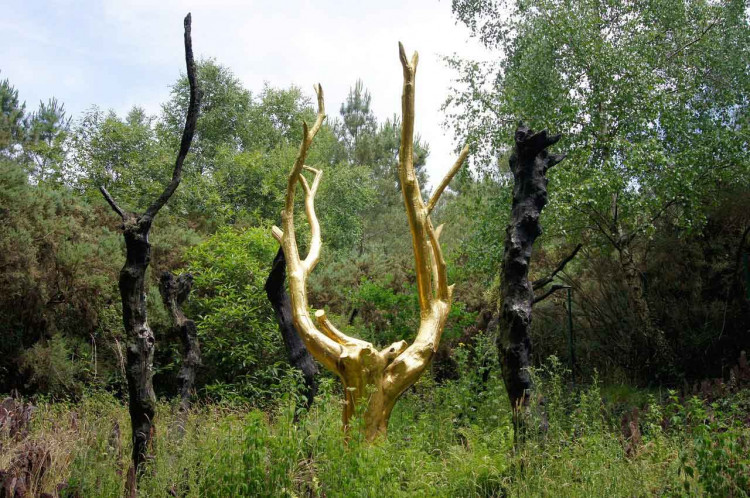Arbre d'or dans la forêt de Brocéliande © ssmiling - Pixabay 
