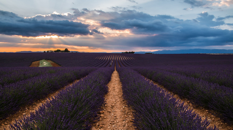 Visiter la Provence  Les incontournables à découvrir en Provence