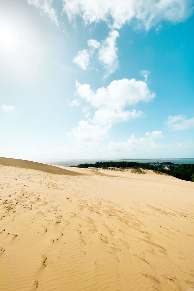 dune-pilat